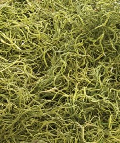 Landscaping Sales Store -Landscaping Sales Store 04933855