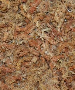 Thing Soil & Soil Amendments Sphagnum Peat Moss Organic Peat Moss Moisture Control -Landscaping Sales Store 05109648