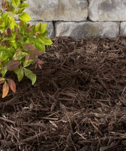 Thing Premium 2-cu ft Dark Brown Hardwood Mulch -Landscaping Sales Store 05316692 scaled