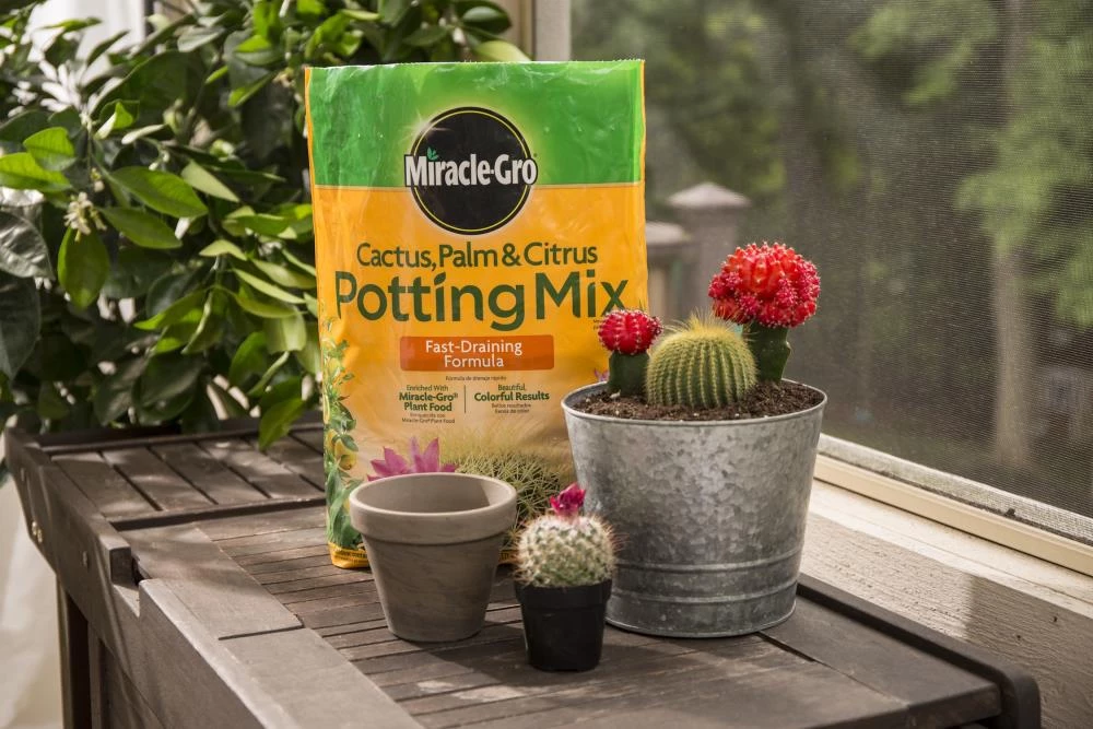 Miracle-Gro Soil & Soil Amendments 8-Quart Potting Soil Mix 7 Miracle-Gro Soil & Soil Amendments 8-Quart Potting Soil Mix - Image 7