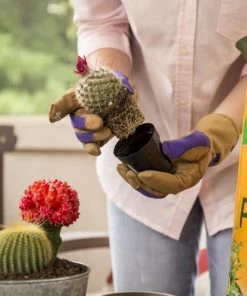 Miracle-Gro Soil & Soil Amendments 8-Quart Potting Soil Mix 11 Miracle-Gro Soil & Soil Amendments 8-Quart Potting Soil Mix -Landscaping Sales Store 05444619