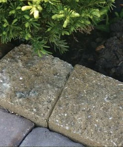 Thing Insignia 5-in L x 8-in W x 3-in H Concrete Straight Edging Stone 13 Thing Insignia 5-in L x 8-in W x 3-in H Concrete Straight Edging Stone -Landscaping Sales Store 07921840