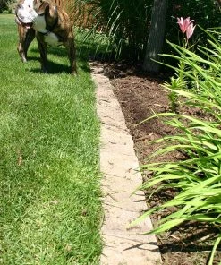 Thing Insignia 5-in L x 8-in W x 3-in H Concrete Straight Edging Stone 10 Thing Insignia 5-in L x 8-in W x 3-in H Concrete Straight Edging Stone -Landscaping Sales Store 07921841