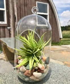 AKASHA Landscaping Rock 5-lb Indoor Decorative Rock 11 AKASHA Landscaping Rock 5-lb Indoor Decorative Rock -Landscaping Sales Store 08250215