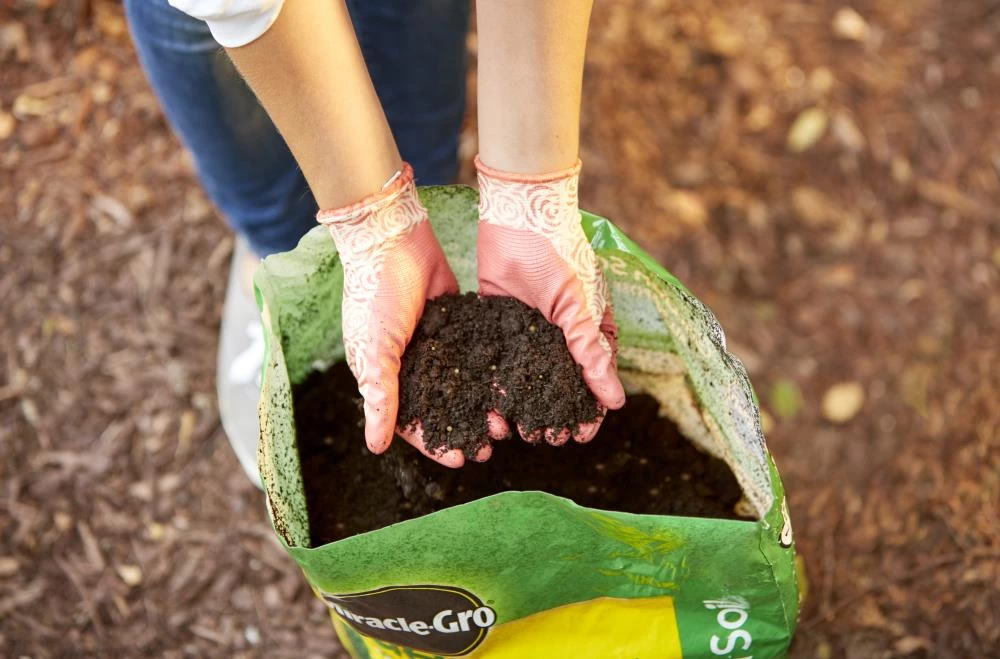 Miracle-Gro Soil & Soil Amendments All Purpose for In-Ground Use 2-cu ft Garden Soil 6 Miracle-Gro Soil & Soil Amendments All Purpose for In-Ground Use 2-cu ft Garden Soil - Image 6