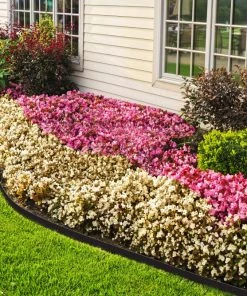 EasyFlex 20-ft Black Plastic Landscape Edging Roll -Landscaping Sales Store 11270387