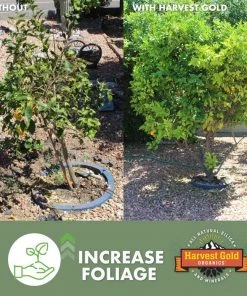 Harvest Gold Organics Soil & Soil Amendments Premium Soil Conditioner Organic Provides Organic Nutrients -Landscaping Sales Store 12097051