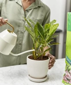 Miracle-Gro Soil & Soil Amendments Moisture Control Peat Moss Moisture Control 14 Miracle-Gro Soil & Soil Amendments Moisture Control Peat Moss Moisture Control -Landscaping Sales Store 12190882