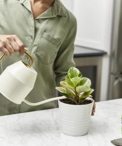 Miracle-Gro Soil & Soil Amendments Perlite Improves Soil Structure -Landscaping Sales Store 12190891