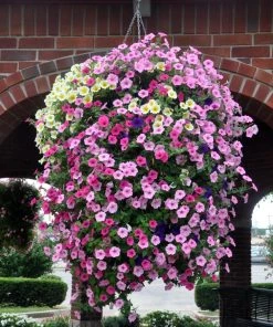 Soil Moist Soil & Soil Amendments Synthetic Polymer Moisture Control 11 Soil Moist Soil & Soil Amendments Synthetic Polymer Moisture Control -Landscaping Sales Store 15604160