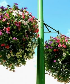 Soil Moist Soil & Soil Amendments Synthetic Polymer Moisture Control 12 Soil Moist Soil & Soil Amendments Synthetic Polymer Moisture Control -Landscaping Sales Store 15604161