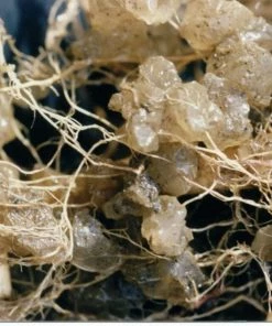 Soil Moist Soil & Soil Amendments Synthetic Polymer Moisture Control 13 Soil Moist Soil & Soil Amendments Synthetic Polymer Moisture Control -Landscaping Sales Store 15604162