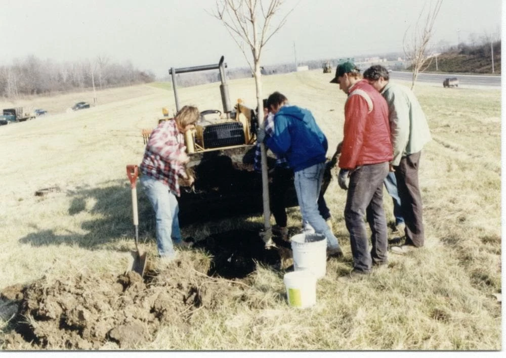 Soil Moist Soil & Soil Amendments Synthetic Polymer Moisture Control 7 Soil Moist Soil & Soil Amendments Synthetic Polymer Moisture Control - Image 7