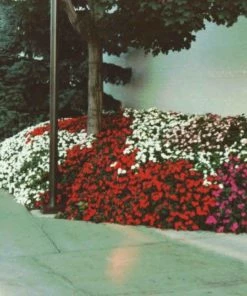 Soil Moist Soil & Soil Amendments Synthetic Polymer Moisture Control 15 Soil Moist Soil & Soil Amendments Synthetic Polymer Moisture Control -Landscaping Sales Store 15604164