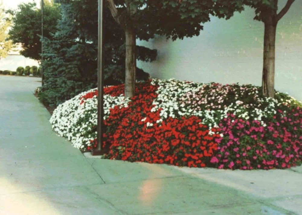 Soil Moist Soil & Soil Amendments Synthetic Polymer Moisture Control 8 Soil Moist Soil & Soil Amendments Synthetic Polymer Moisture Control - Image 8