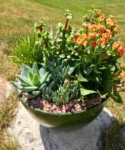 AKASHA Landscaping Rock 4-lb Indoor Decorative Rock 9 AKASHA Landscaping Rock 4-lb Indoor Decorative Rock -Landscaping Sales Store 16989167