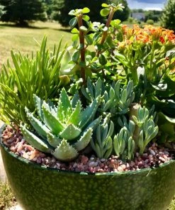 AKASHA Landscaping Rock 4-lb Indoor Decorative Rock 10 AKASHA Landscaping Rock 4-lb Indoor Decorative Rock -Landscaping Sales Store 16989168