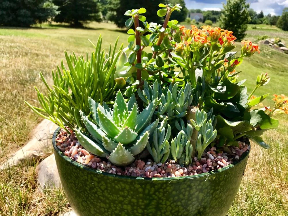 AKASHA Landscaping Rock 4-lb Indoor Decorative Rock 5 AKASHA Landscaping Rock 4-lb Indoor Decorative Rock - Image 5