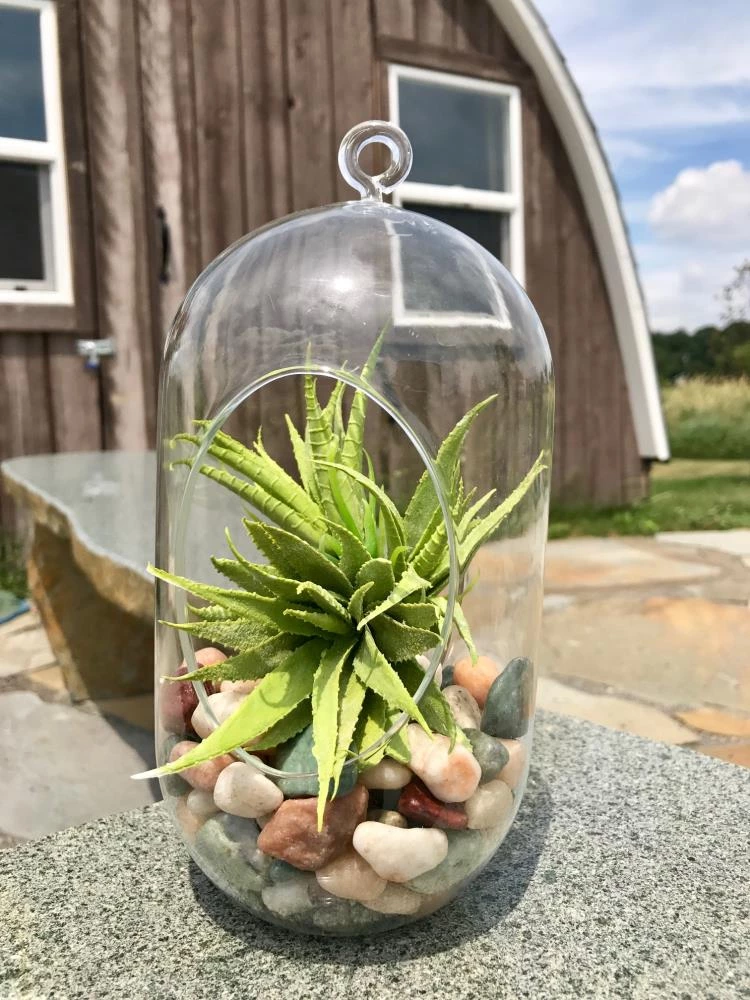 AKASHA Landscaping Rock 5-lb Indoor Decorative Rock 5 AKASHA Landscaping Rock 5-lb Indoor Decorative Rock - Image 5