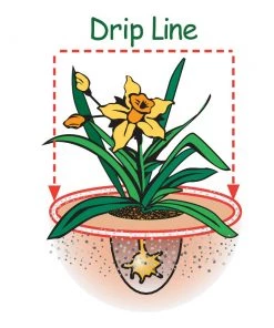 Espoma Soil & Soil Amendments Garden Organic Lime Ph Balancer -Landscaping Sales Store 42677962