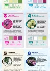 Espoma Soil & Soil Amendments Soil Acidifier Organic Ph Balancer -Landscaping Sales Store 43201441