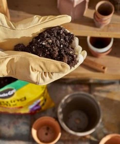 Miracle-Gro Soil & Soil Amendments Potting Mix Bundle 16-Quart Potting Soil Mix 8 Miracle-Gro Soil & Soil Amendments Potting Mix Bundle 16-Quart Potting Soil Mix -Landscaping Sales Store 44004091