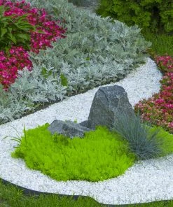 Beach Pebble Company Landscaping Rock Decorative stone chip 30-lb White Decorative Rock -Landscaping Sales Store 44319150