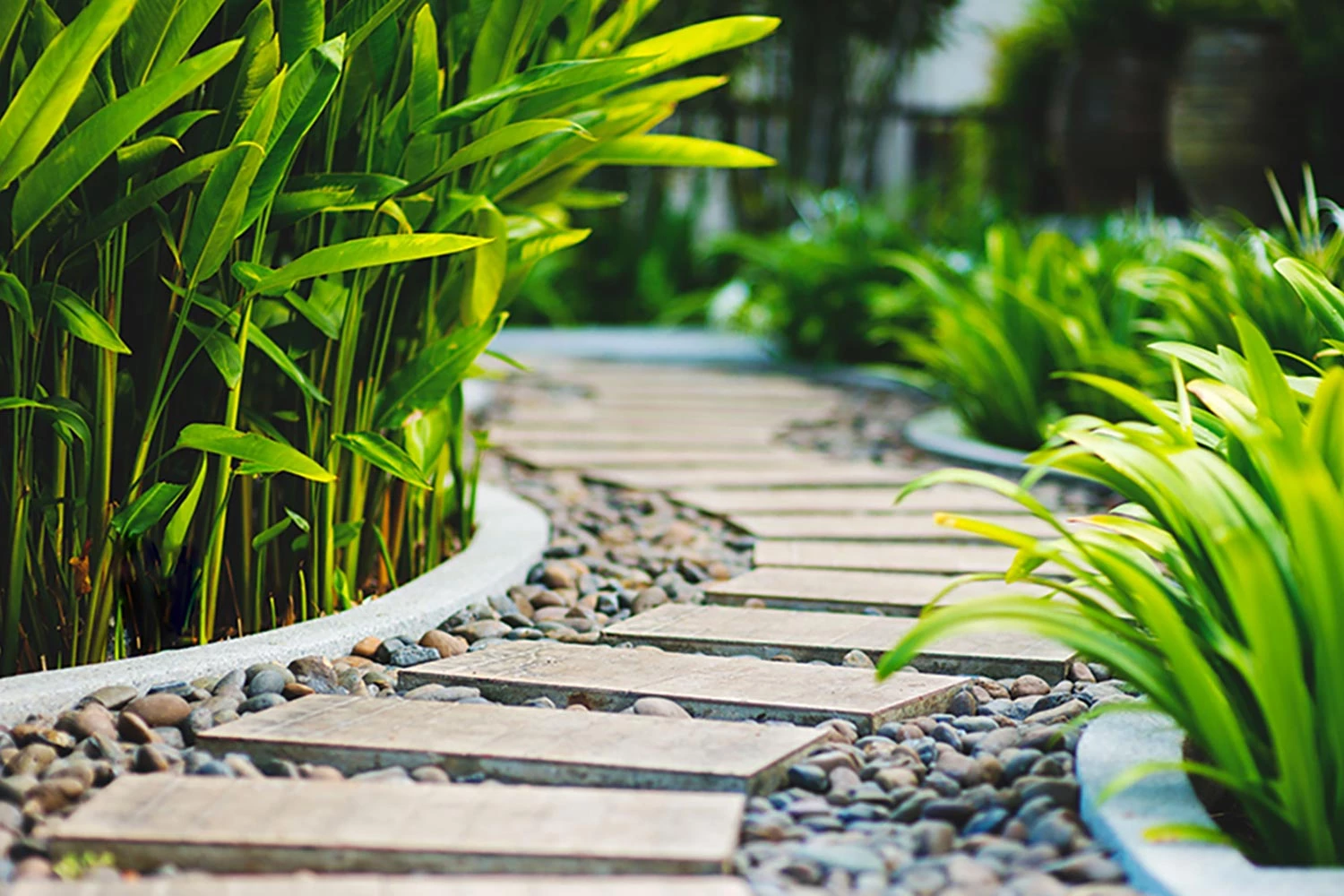 Landscaping Sales Store 3 Landscaping Sales Store -Landscaping Sales Store 4